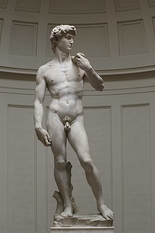 David by Michelangelo Florence Galleria dell'Accademia